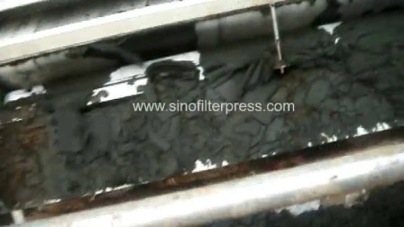Filtre-presse à bande d'épaississement de la bande SS304 de la Chine pour la déshydratation des boues